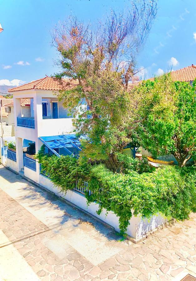 Blue Seaside House With Garden